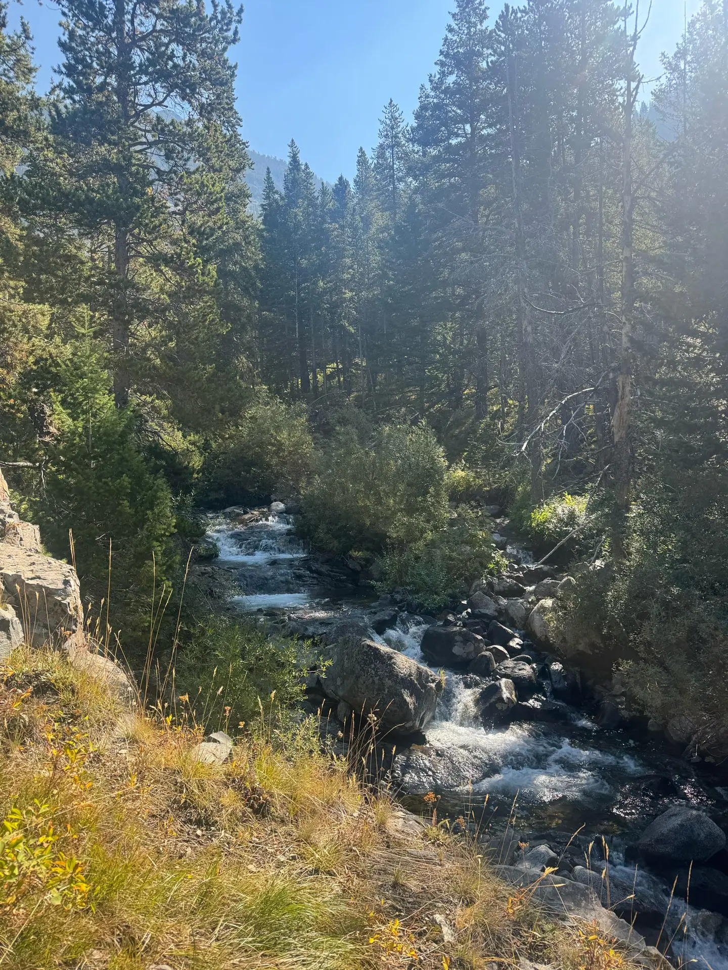 Montana valley