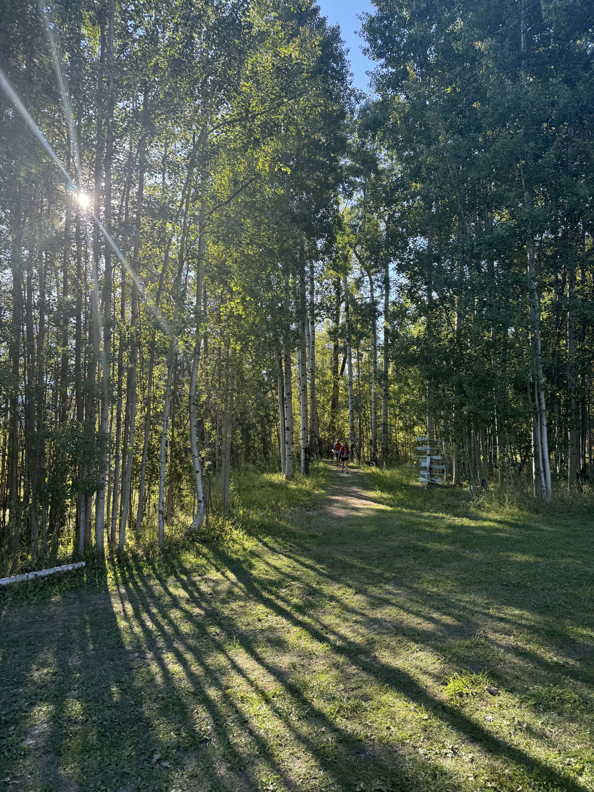 Accommodation landscape