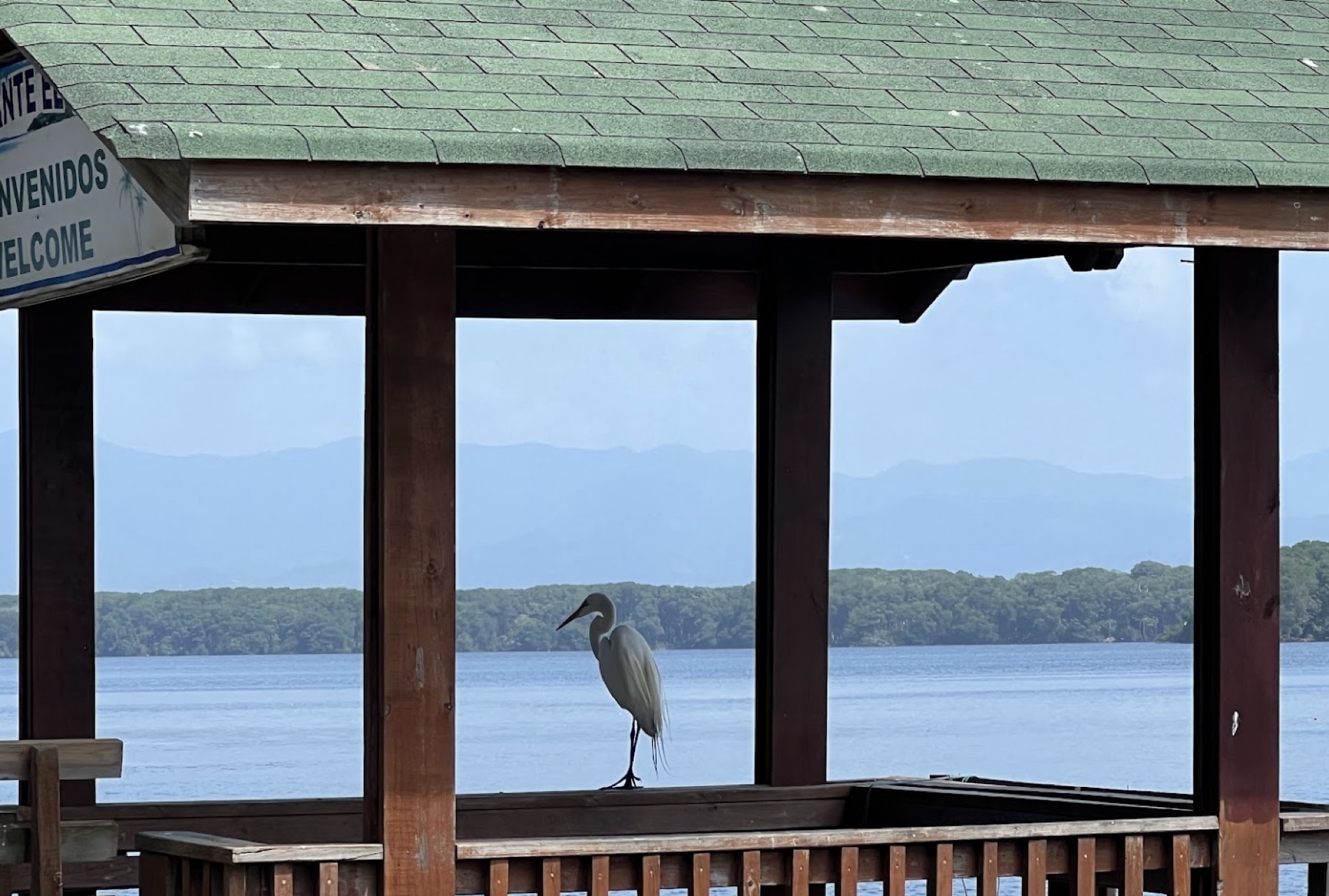 Waterside lodge looking across the lagoon to the mangroves and mountains near Tela