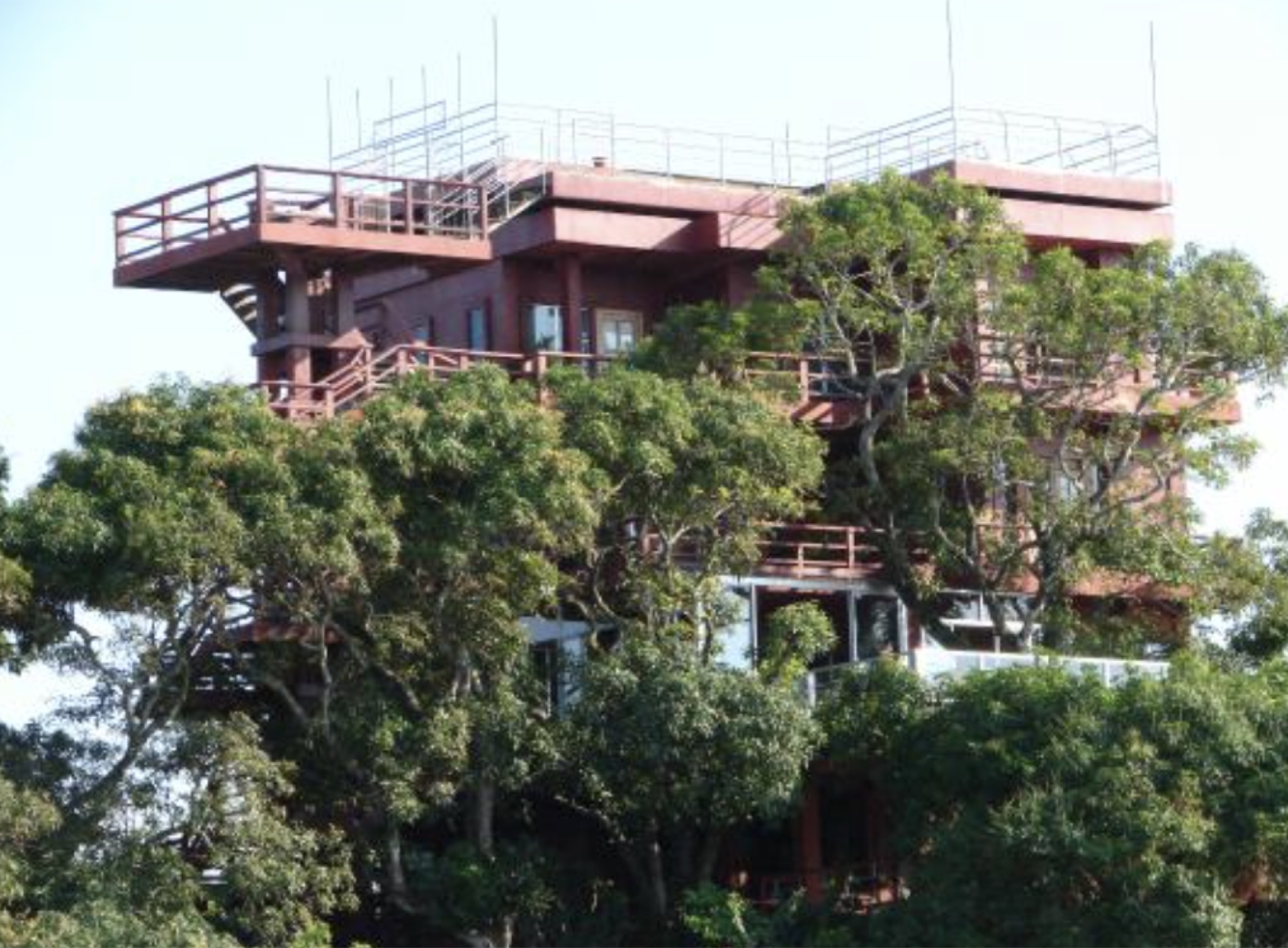 The treehouse property set among mango trees near Tela, Honduras