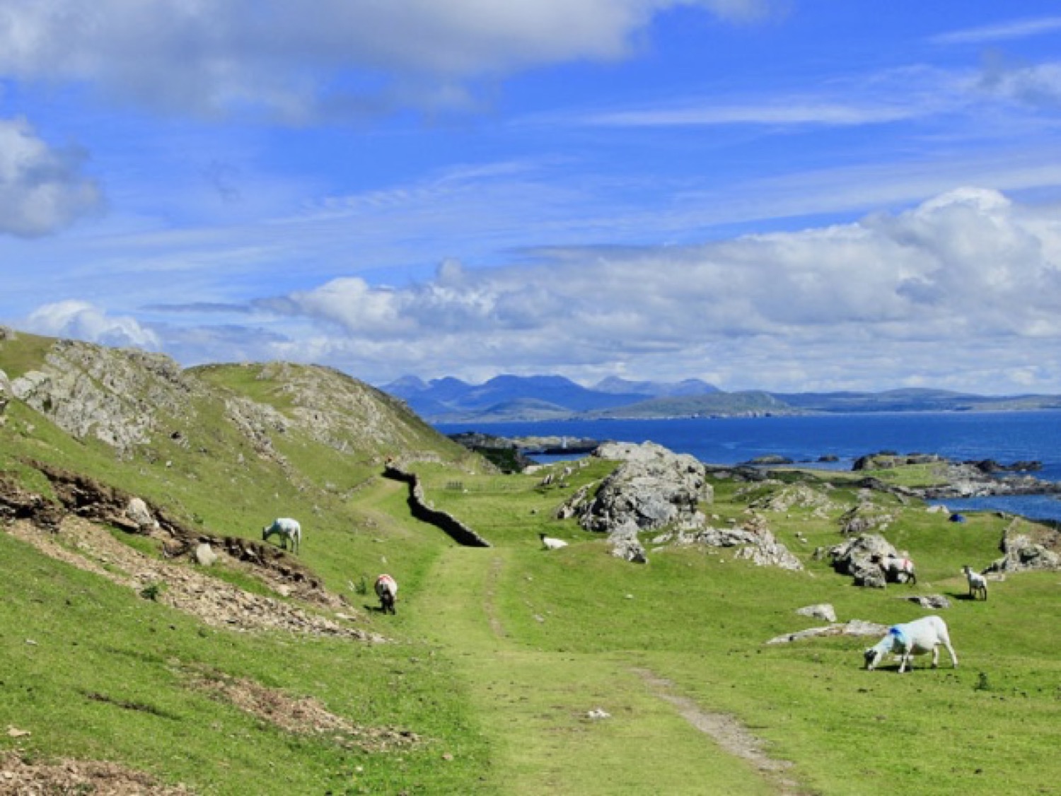 A green coastal path down to the Atlantic