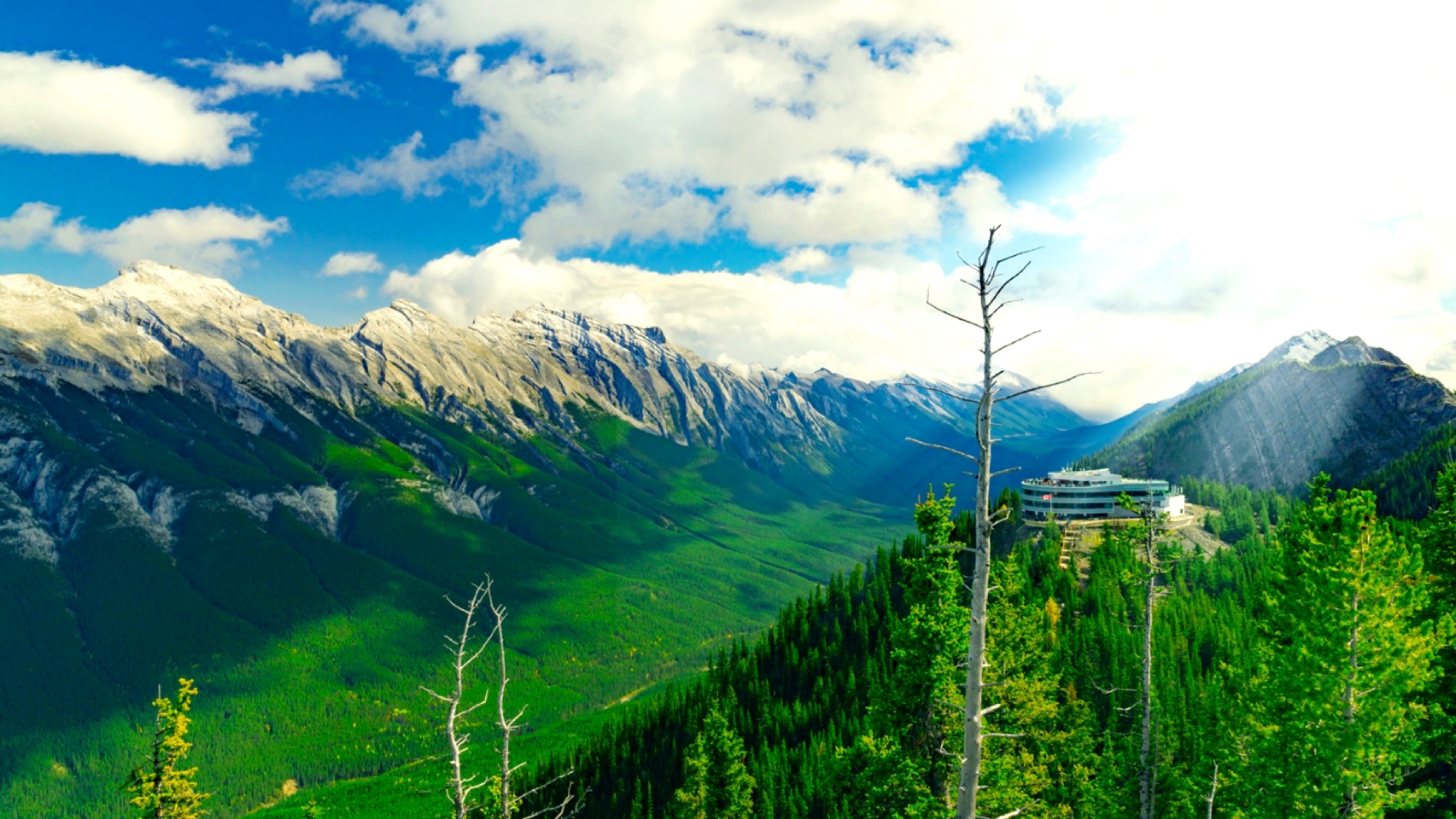 Snow-capped peaks and forested valley seen from the gondola above Banff