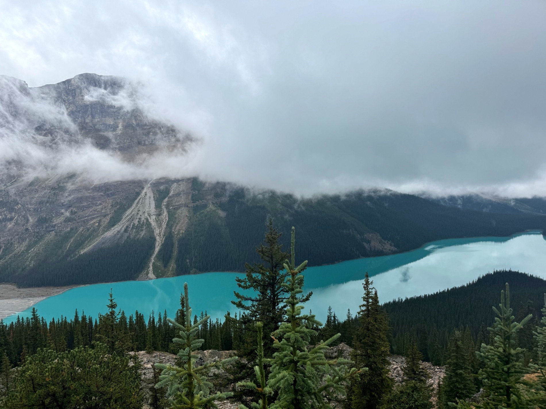 Turquoise glacial water at Bow Lake along the Icefields Parkway, Canadian Rockies