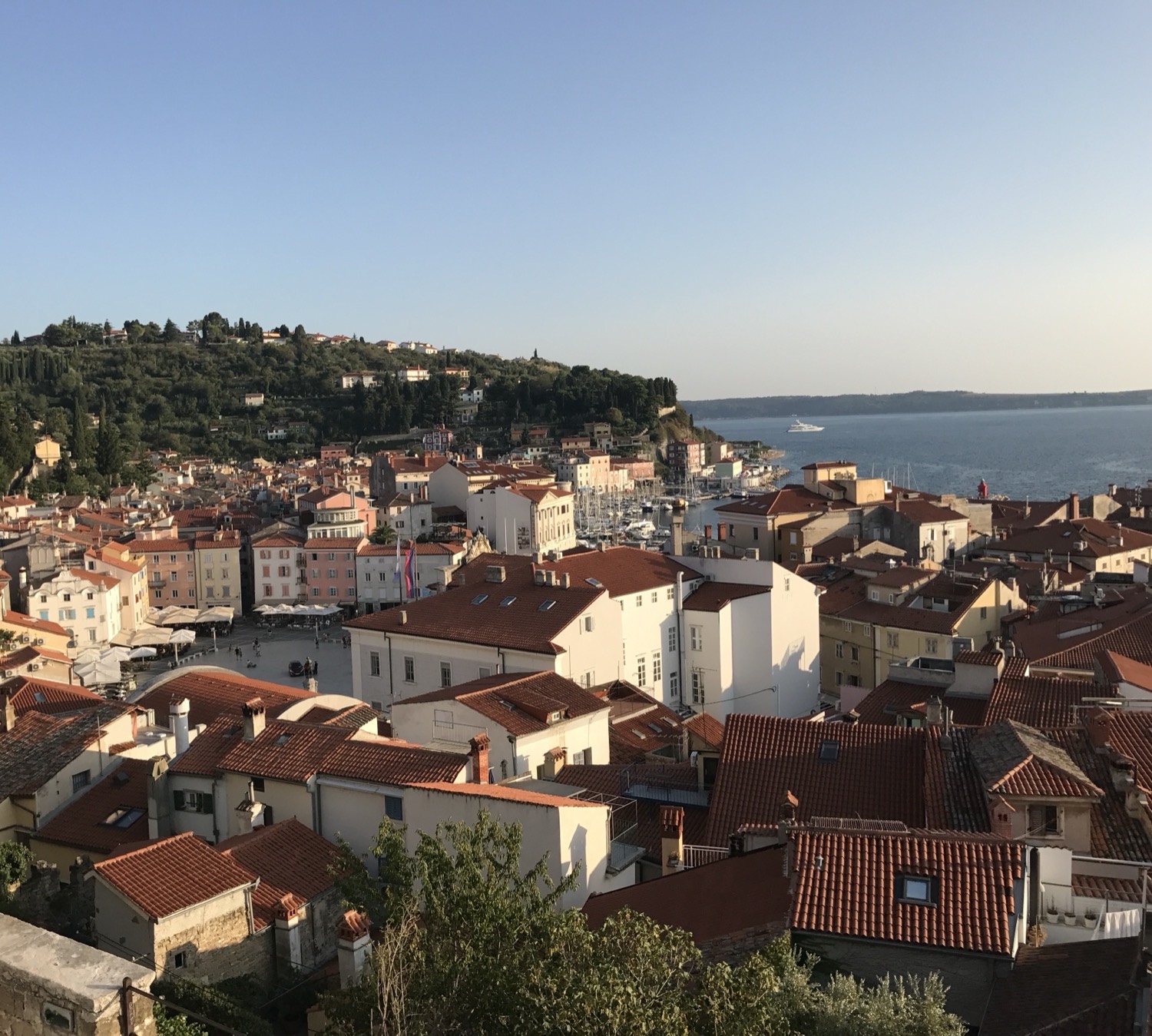 Terracotta rooftops of Piran above the Adriatic, Slovenia