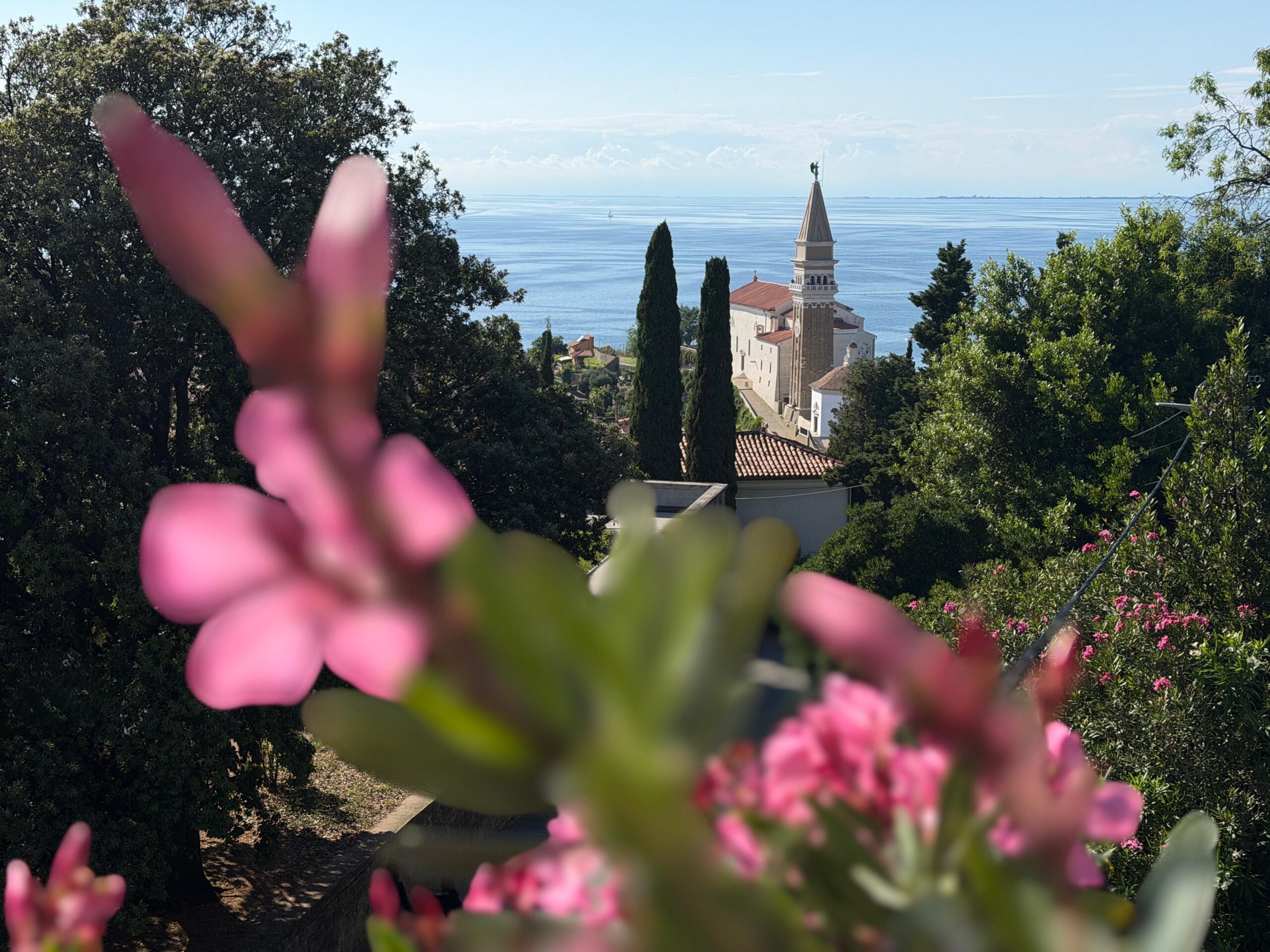 Slovenian coast