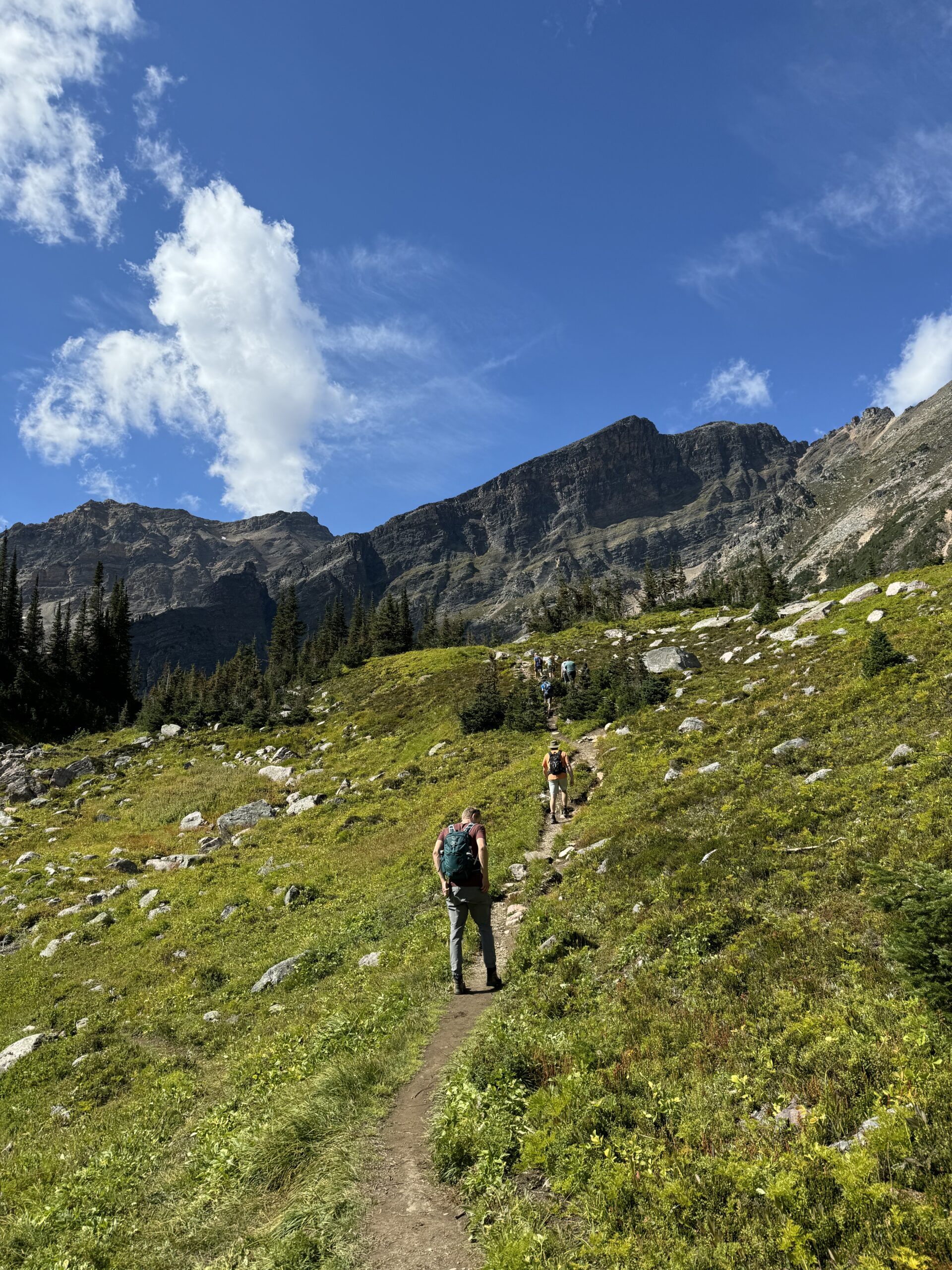 On the trail