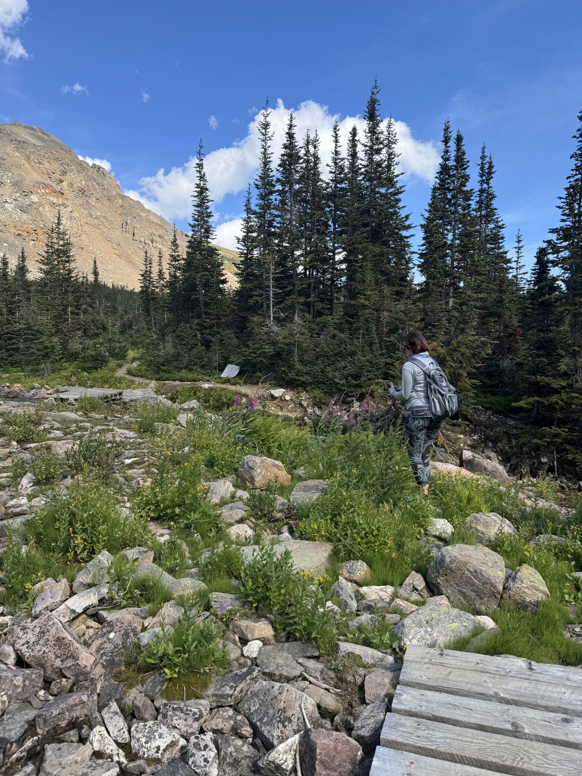Mountain hike