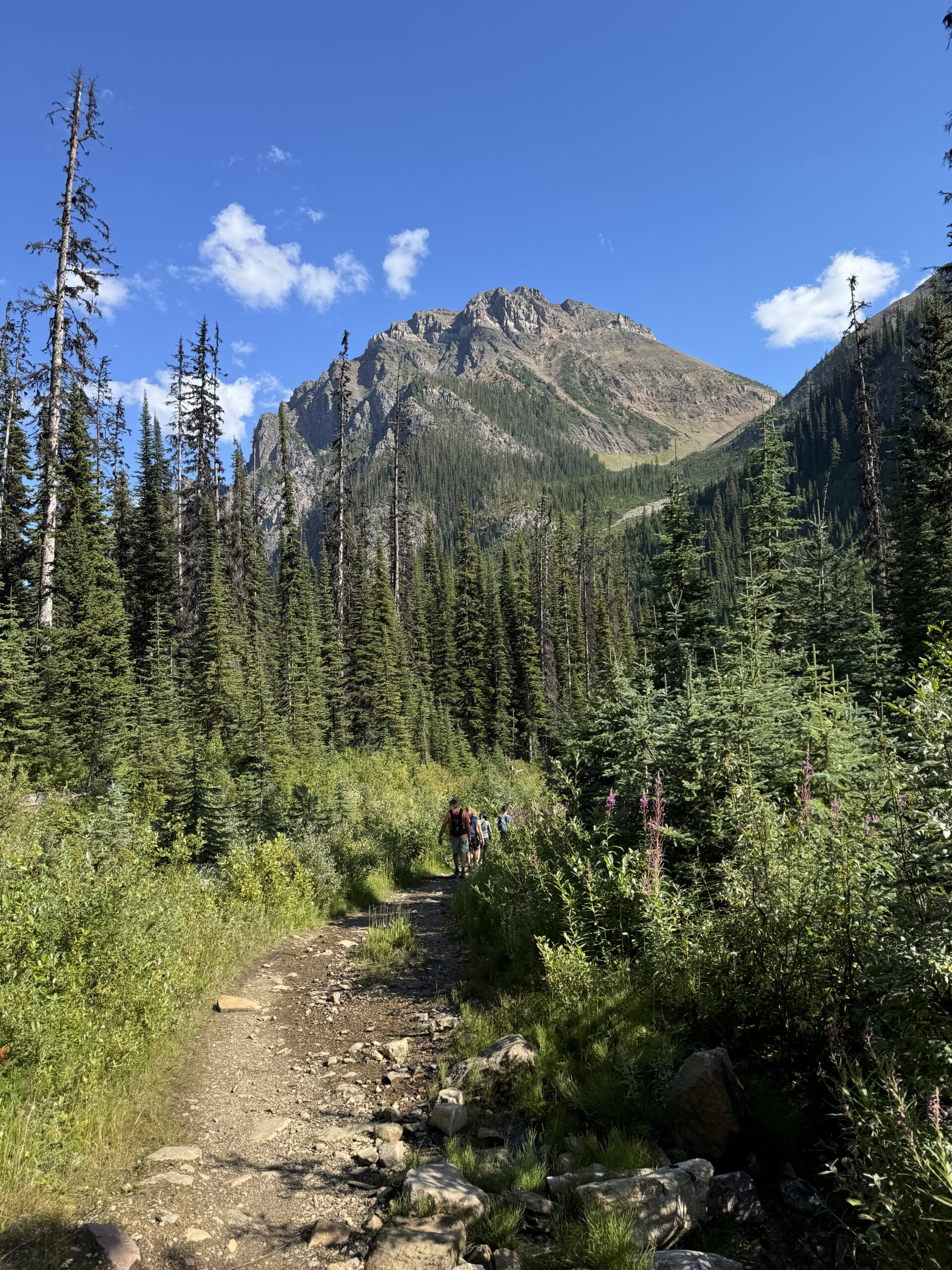 Mountain trail