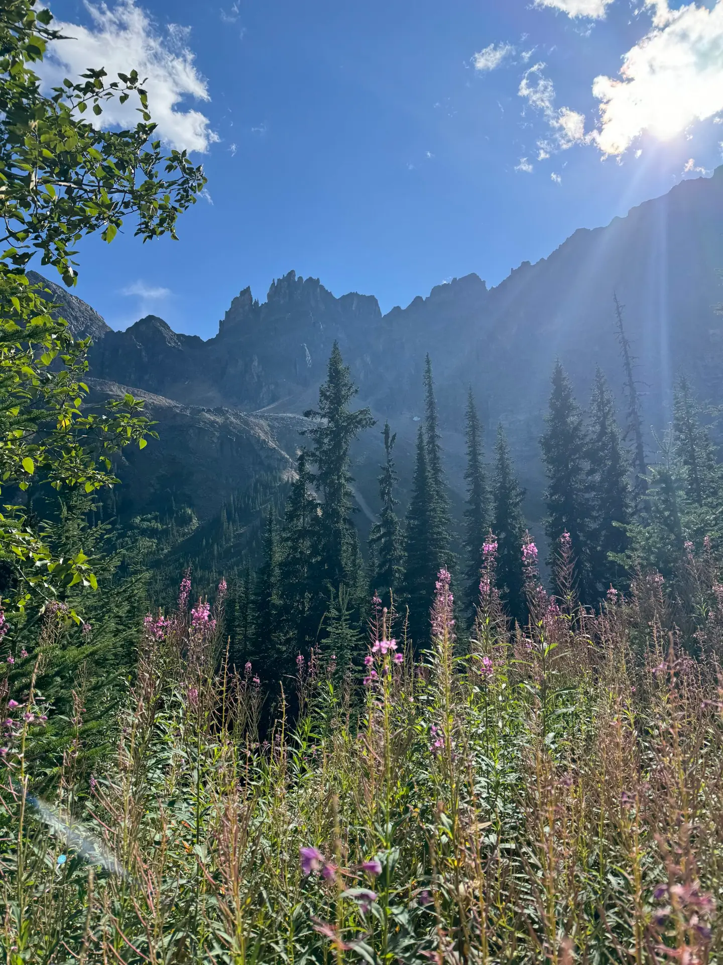 Backcountry hiking near Golden, British Columbia