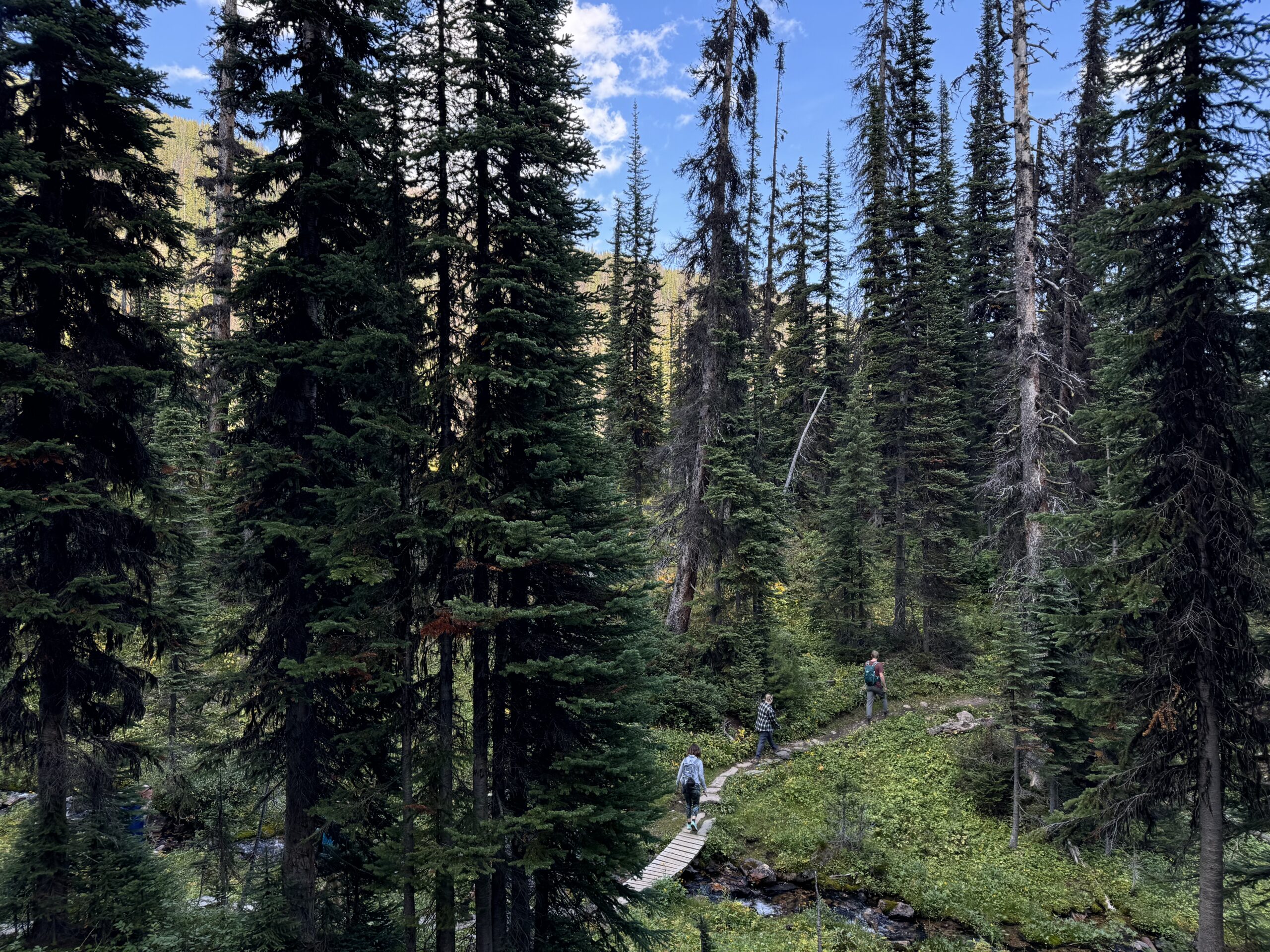 Rockies ridge