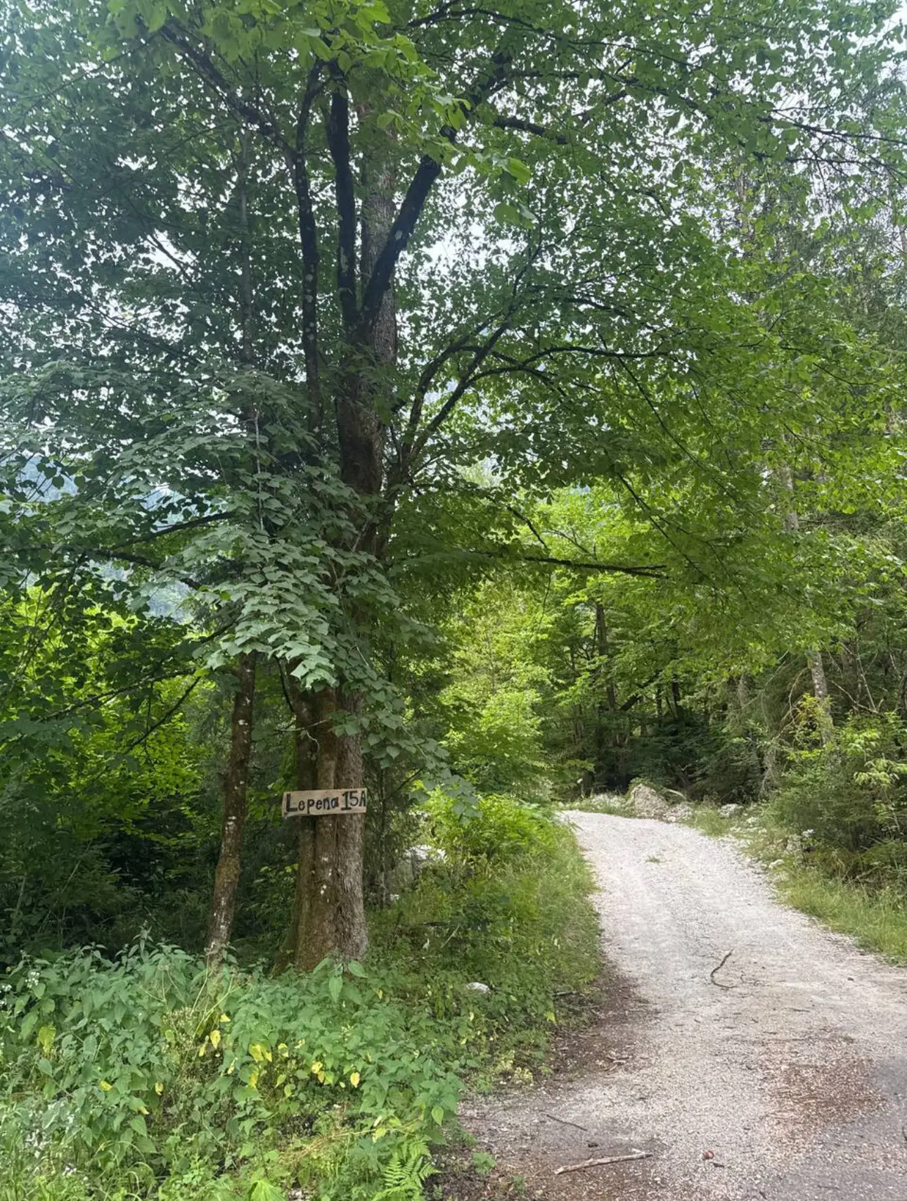 Lepena Valley Ranch driveway — gravel road with the Lepena 15A sign on the tree at the entrance