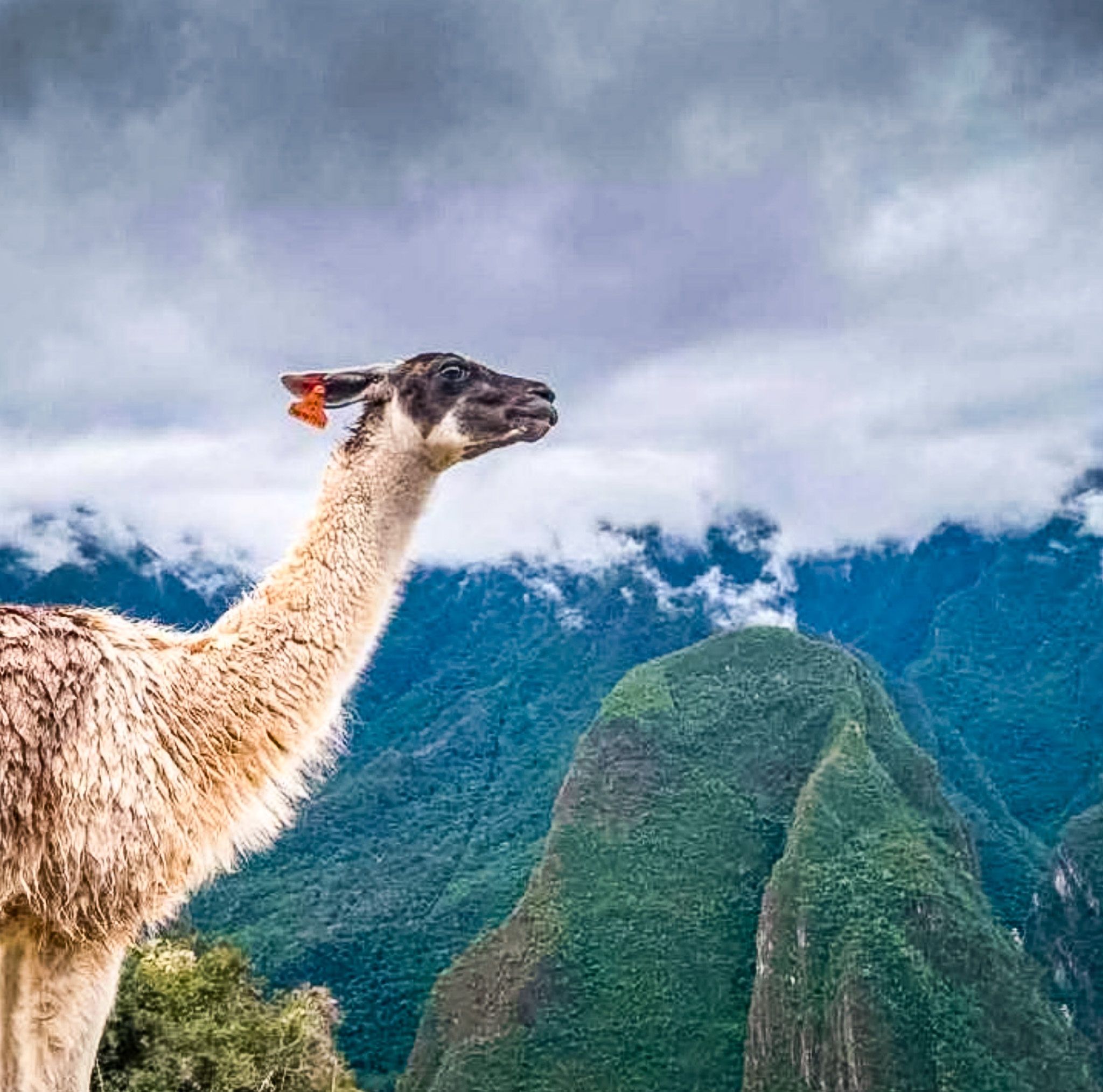 Peru — Sacred Valley