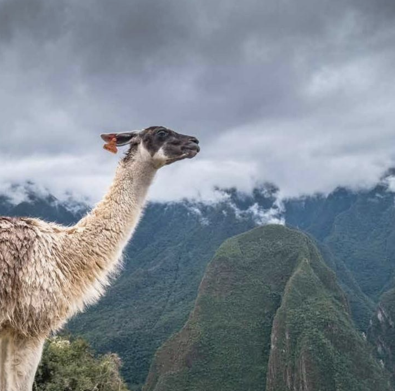 Sacred Valley of the Incas